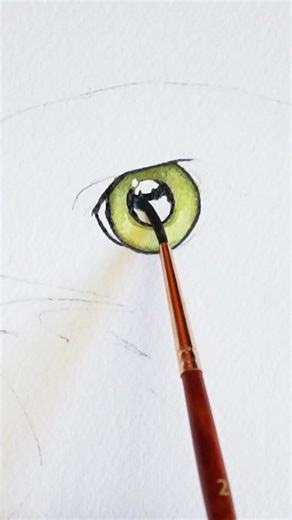 14K views · 468 reactions | Watercolor hawk painting | Painted Wing | Facebook