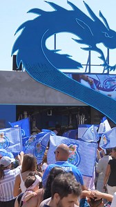 Preparados para o 2.º dia do Festival da Comida Continente 💙🐉 Esperamos por ti a partir das 10h30 😎 #FCPorto | FC Porto