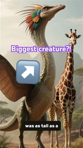 The biggest flying creature!