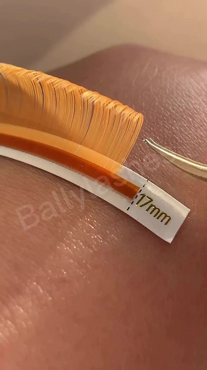 Factory Direct LASH Supplier on TikTok