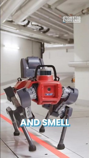Automated Robot Workers