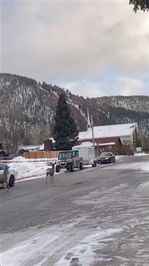 Breathtaking view at Beautiful Small Town, Red River, New Mexico. #redriver #newmexico #sking