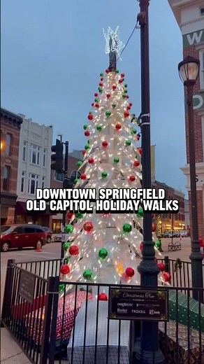 Best Holiday Lights Around Springfield, Illinois