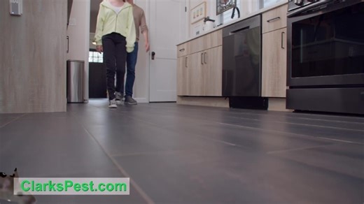 When you see the signs, don't think twice. Call Clark's today to protect your home from mice. | Clark's Termite & Pest Control | Facebook