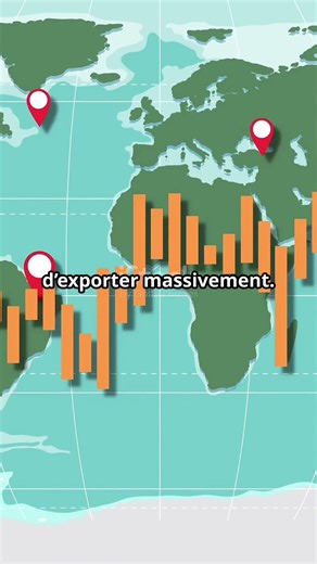 Pourquoi l’Inde se tourne vers l’Algérie pour ses engrais. #algerie #algeria #engrais