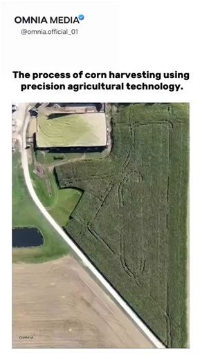 Omnia Media on Instagram: "This shows how modern corn harvesting is transformed by precision agricultural technology, where GPS-guided machinery follows exact digital field maps to harvest crops with incredible accuracy. From above, you can see how combines move in carefully calculated paths, minimizing overlap and missed areas while adapting to the field’s shape and terrain. Sensors continuously measure crop density, yield, and moisture levels in real time, allowing machines to adjust speed and