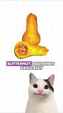 Pumpkin vs Squash #learning #education #challenge