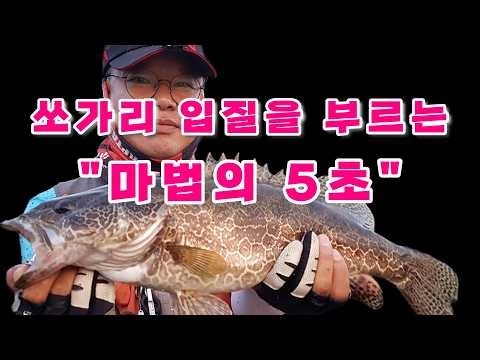 "Mandarin Perch Fishing" Why Hold On by Stopping with a Light Worm? EP-326