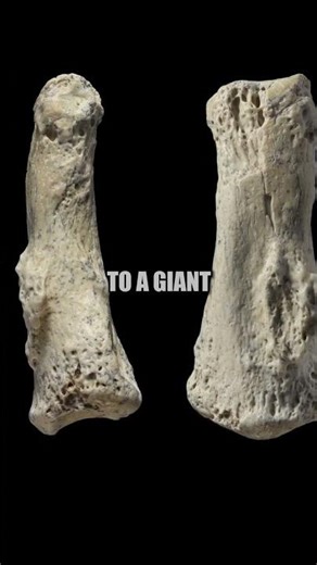Ancient Giants Revealed: Footprints, Fossils, and Caveman Art