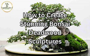 How to Create Stunning Bonsai Deadwood Sculptures - Simplify Gardening