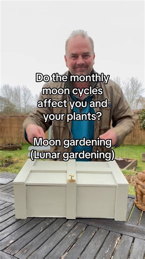Gardening by the moon. Or lunar gardening. It’s not just the tide that is affected by the gravitational pull of the moon. The gravitational pull of the moon affects water pressures and therefore affects plants which are mainly made up of water, and the moisture in the soil. The light from the different phases of the moon also affects the growth of plants. It’s also no secret that human behaviour is affected by monthly moon cycles. Hence why all these mythical legends and stories exist about huma
