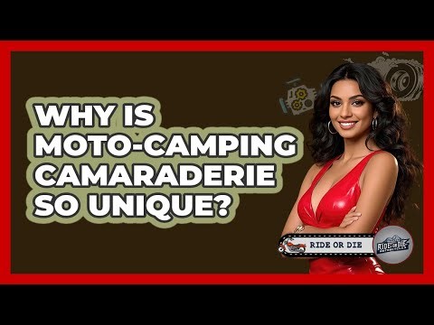 Why Is Moto-camping Camaraderie So Unique? - Ride or Die Motorcycles