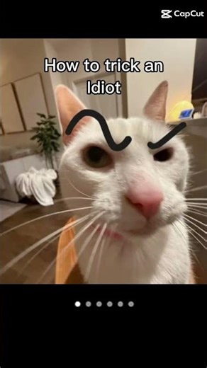 how to trick an diot