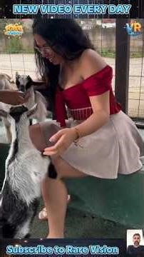 Rare Animal Encounters That Actually Happened #MindBlown #Wildlife #FYP