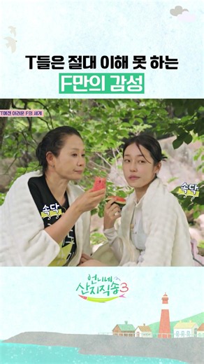 ???: 얘들은 콘셉트야? #언니네산지직송3