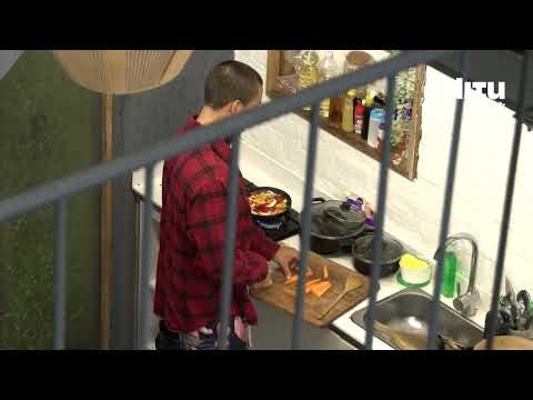 ¿Show o desastre? El intento musical de Grecia y Camilo en el Cubo - DITU