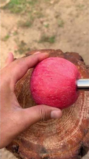 core removal from an apple is done in one step