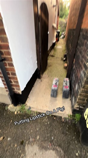 Rendering and Plastering Repair Work Process