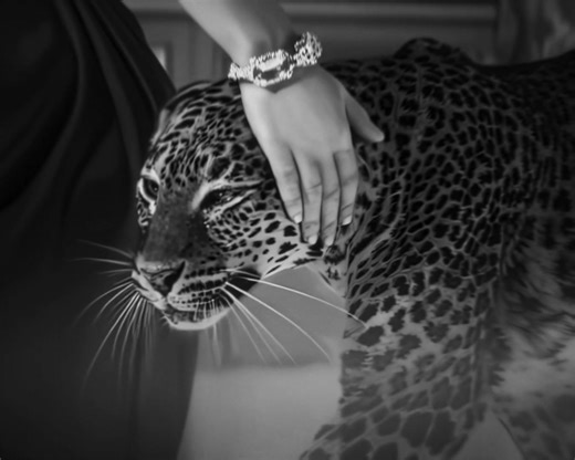 Exquisite Cartier Bracelets: Luxury in Jewelry