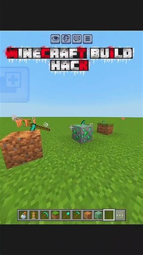 illegal minecraft build hacks #shorts #viral #trending #short