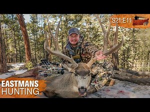 Mule Deer Rut Bow Hunt with Ike Eastman