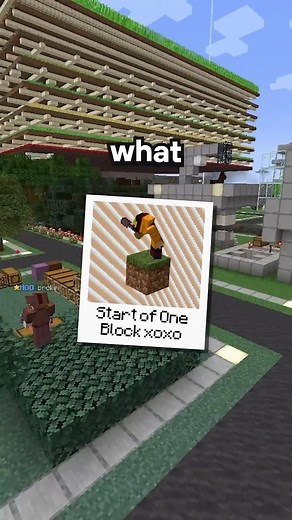 38K views · 393 reactions | FINALLY found a Oneblock server ❤️ #minecraft #gaming #smp #cosmosmc #oneblock | Parrot Life | Facebook