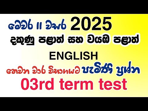 2025 Grade 11 English 3rd term test Paper #Grade113rdterm
