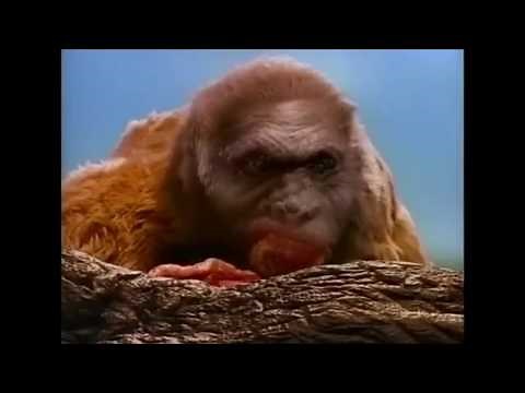 After Man: The Predatory Cycle (re-sound)