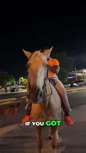 Riding Horse at Night: Refusing Payment & Django Shenanigans! #shorts