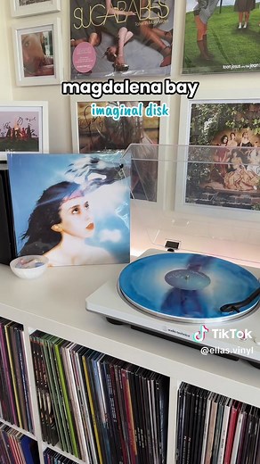 this is my entire @Blood Records & bad world vinyl collection ✨🕯️🤍 some of my fave pressings ever 😇 #vinyl #vinyltok #bloodrecords #badworld #vinylhaul