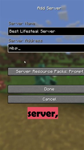 Best Lifesteal Server in Minecraft