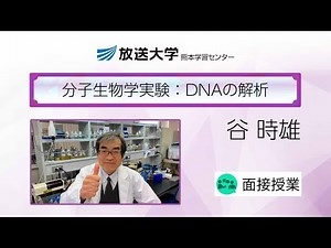 分子生物学実験：DNAの解析(熊本学習センター)／谷 時雄 ( 放送大学 熊本学習センター所長)