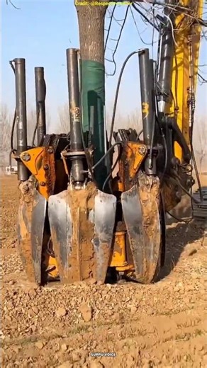 This is how Japan saves trees while building roads! 🤯🌳 #shortsfeed #fyp