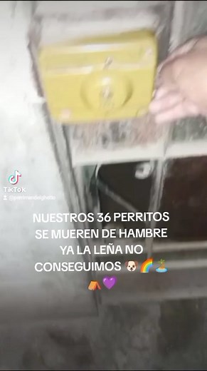 15 reactions | 5:27 AM de la madrugada YAPE día 21 marzo seguimos cocinando necesitamos donación avena fideos veterraga zanahoria espinazo camote piltrafa construir muro para instalar el gas natural y así cocinar más rápido ⛺濾casa playa 36 perritos rescatados de haber sido abandonados en plena #pandemiamundial #perros #goku | Carlos Lopez | Facebook