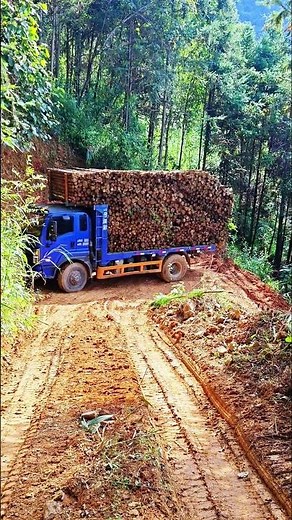 How It's Done: Log Truck Driving on Mountain Roads #Shorts
