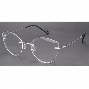 [Hot Item] Luxury Pure Titanium Optical Frame, Titanium Eye Glass Frames Optical Glasses