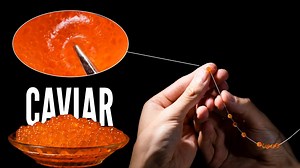 Stunning macro art: Piercing caviar in perfect detail