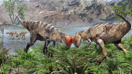 Oldest dome-headed dinosaur unearthed in Mongolia