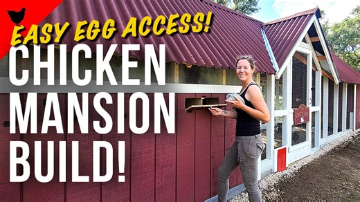 Build a huge chicken coop with built-in storage