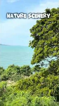 🏞️ Relaxing Nature Scenery | Beautiful Nature Places And Views | Thailand Koh Samui