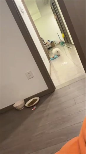 Classic balloon prank in the closet—popped surprise = nonstop laughs 🤭 #Prank #viral #funnyvideos