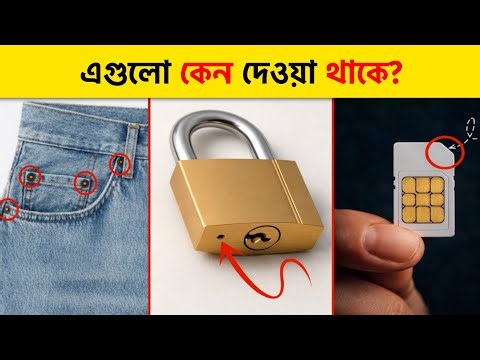 You use it every day, but don't know the real reason 😳 | Amazing Facts Bangla | Factgam