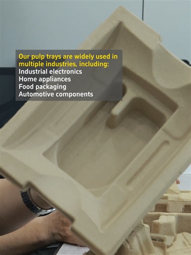 pulp trays#EggTrayOEM #paperplasticproducts