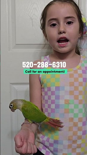 Cute video alert! We have many parrots available for adoption!
