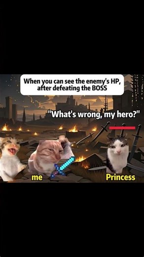 #catmemes #foryou #hero #mission #funny when you can see the enemy’s HP,after defeating the boss