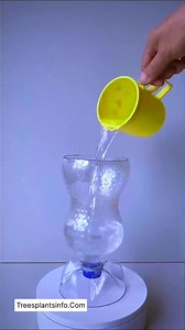 How to make a best plastic pot from plastic bottle / Diy plastic bottle to convert plastic pot | Trees Plants Info