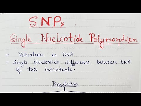 Single Nucleotide Polymorphism : SNPs