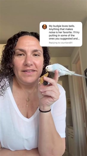 3 Key Reasons to Avoid Bells for Your Birds