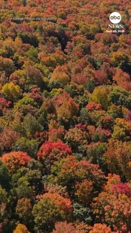 Drone captures colorful fall foliage in Vermont