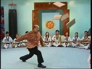 恒宇仁龍拳創始人黑帶十段區悅誠宗師示範